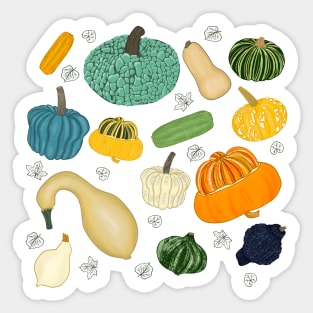 Squashes Sticker